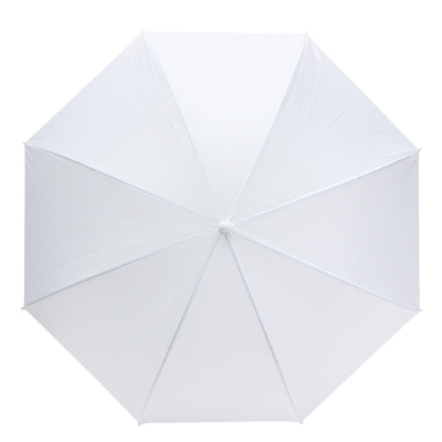 White Umbrella