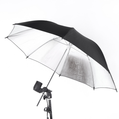 Black Silver Umbrella